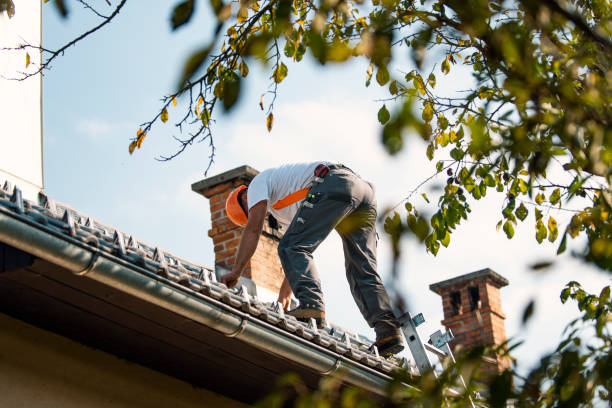 Roof Waterproofing Services in Honokaa, HI