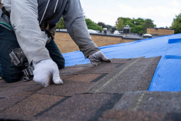 Best Shingle Roofing Installation  in Honokaa, HI