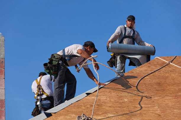 Best Emergency Roof Repair  in Honokaa, HI