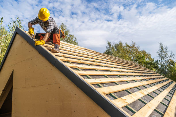 Best Sealant for Roof  in Honokaa, HI