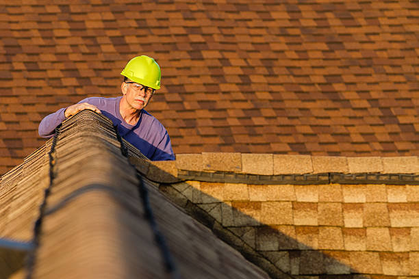 Best Tile Roofing Contractor  in Honokaa, HI
