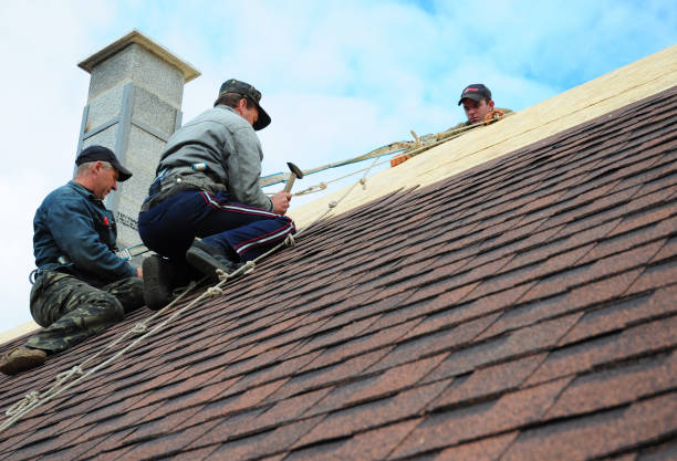 Best Commercial Roofing Services  in Honokaa, HI