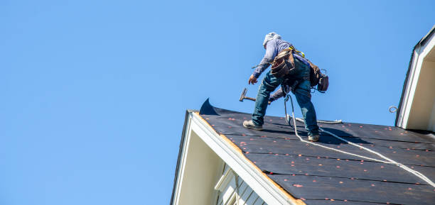 Best Flat Roof Repair Services  in Honokaa, HI